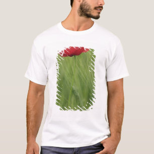 Rote Mohnblume unter Weizenanbau, Toskana, T-Shirt