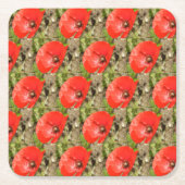 Rote Mohnblume Untersetzer (Vorderseite)