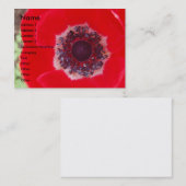 Rote Mohnblume Visitenkarte (Vorne/Hinten)