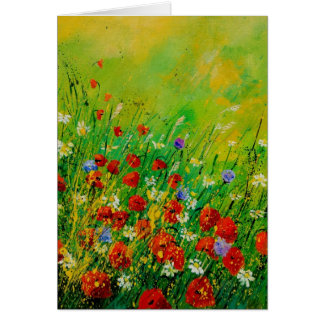 rote Mohnblumen 450708