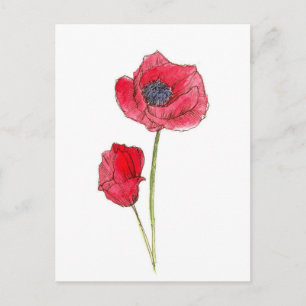 Rote Mohnblumen-Aquarell-Botanik-Kunst Postkarte