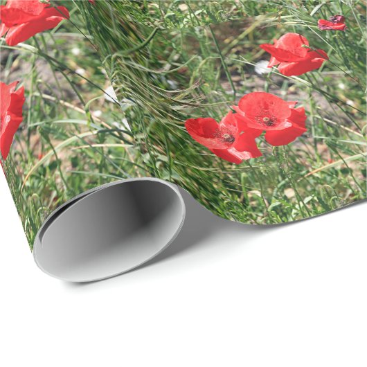 Rote Mohnblumen auf EL Camino Geschenkpapier (Rolleneckpunkt)