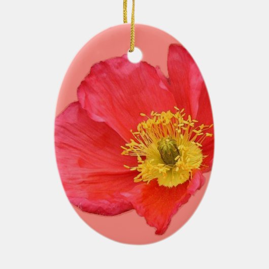 Rote Mohnblumen-Blume Keramik Ornament (Hinten)