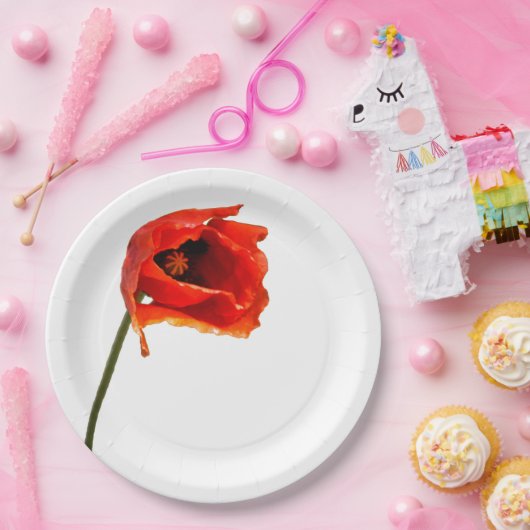 Rote Mohnblumen-Blume Pappteller (Party)