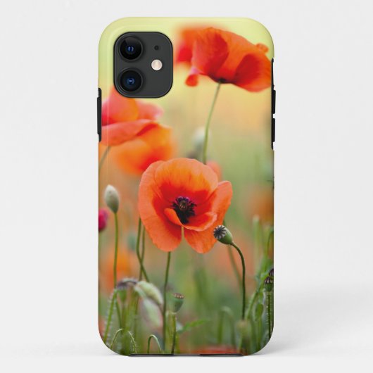 Rote Mohnblumen-Blumen Case-Mate iPhone Hülle (Rückseite)