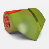 Rote Mohnblumen-Blumen-Krawatte Krawatte (Gerollt)