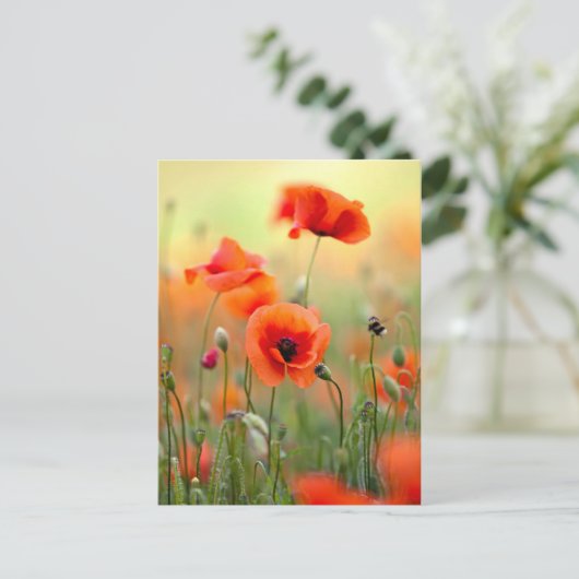 Rote Mohnblumen-Blumen Postkarte (Stehend Vorderseite)