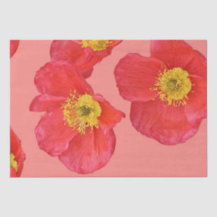 Rote Mohnblumen-Blumen Seidenpapier