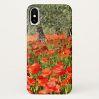 Rote Mohnblumen-Blumen unter alten Olivenbäumen