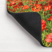 Rote Mohnblumen-Blumen unter alten Olivenbäumen Mousepad (Ecke)