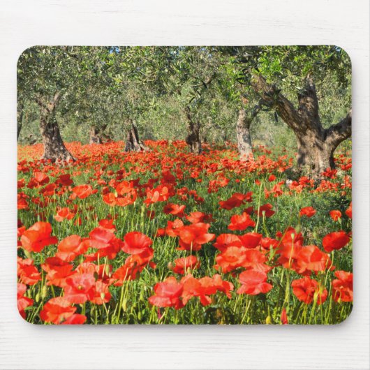 Rote Mohnblumen-Blumen unter alten Olivenbäumen Mousepad (Vorne)