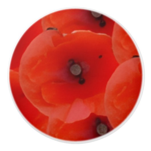 Rote Mohnblumen Design Keramik-Griff Keramikknauf (Vorderseite)