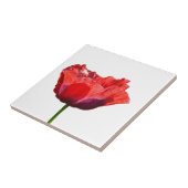 Rote Mohnblumen-Fliese Fliese (Seite)
