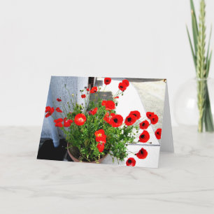 Rote Mohnblumen-Foto-Grußkarte Karte