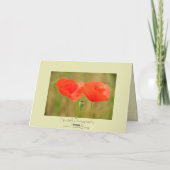 Rote Mohnblumen in Ungarn Greetingcard Karte (Rückseite)