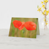 Rote Mohnblumen in Ungarn Greetingcard Karte (Gelbe Blume)
