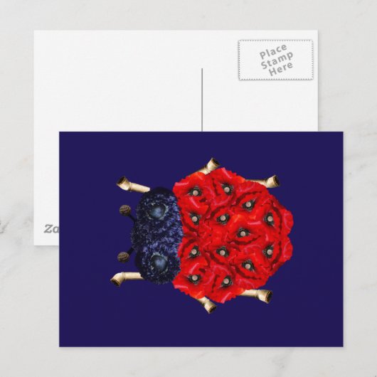 Rote Mohnblumen-Käfer-Grafik Postkarte (Vorne/Hinten)