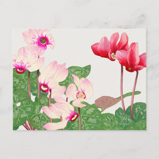 Rote Mohnblumen Postkarte (Vorderseite)
