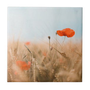 Rote Mohnblumen und Goldgerste Fliese