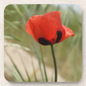 Rote Mohnblumen-Untersetzer Untersetzer (Vorderseite)
