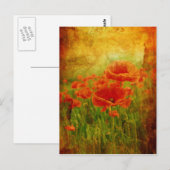 Rote Mohnblumen vintage Postkarte (Vorne/Hinten)