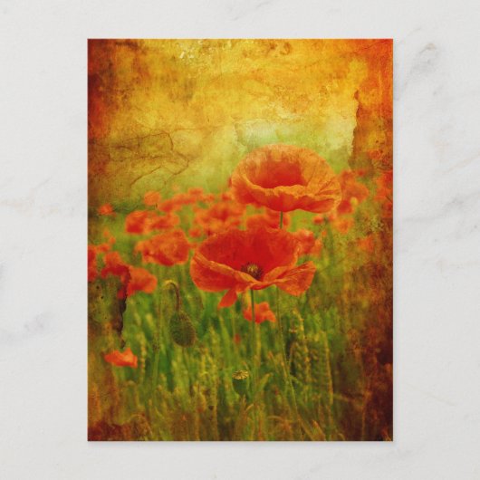 Rote Mohnblumen vintage Postkarte (Vorderseite)