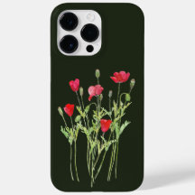 Rote Mohnblüte, Sommerwiese, wilde Blume