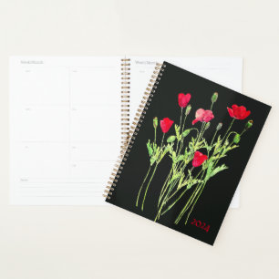 Rote Mohnblüte, Sommerwiese, wilde Blume Planer