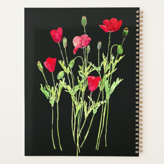 Rote Mohnblüte, Sommerwiese, wilde Blume Planer (Rückseite)