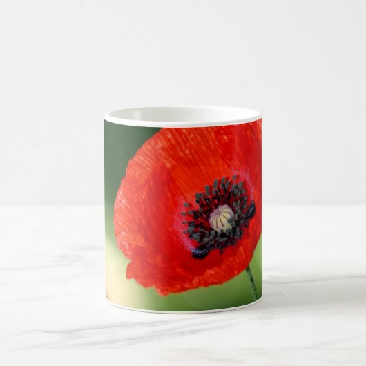 Rote Mohnsamen Tasse (Mittel)