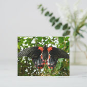 Rote Motte Postkarte (Stehend Vorderseite)