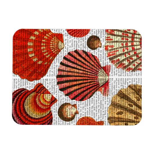 Rote Muscheln Magnet (Horizontal)