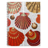 Rote Muscheln Notizblock (Vorderseite)