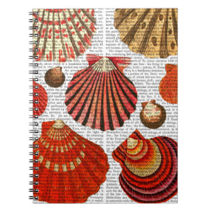 Rote Muscheln Notizblock