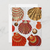 Rote Muscheln Postkarte (Vorne/Hinten)
