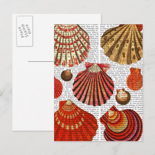Rote Muscheln Postkarte (Vorne/Hinten)