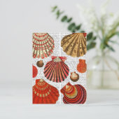Rote Muscheln Postkarte (Stehend Vorderseite)