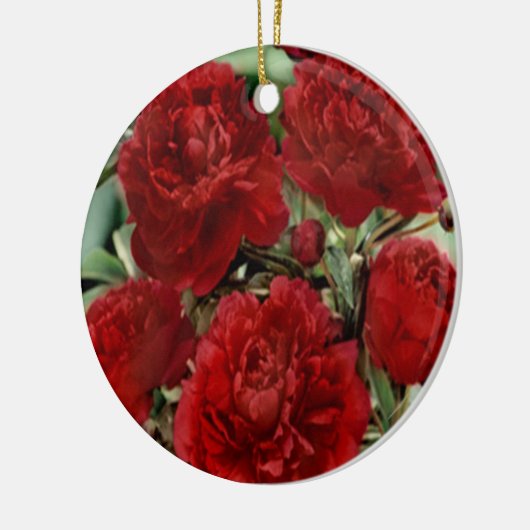 Rote Nelke Blume Ornament (Links)