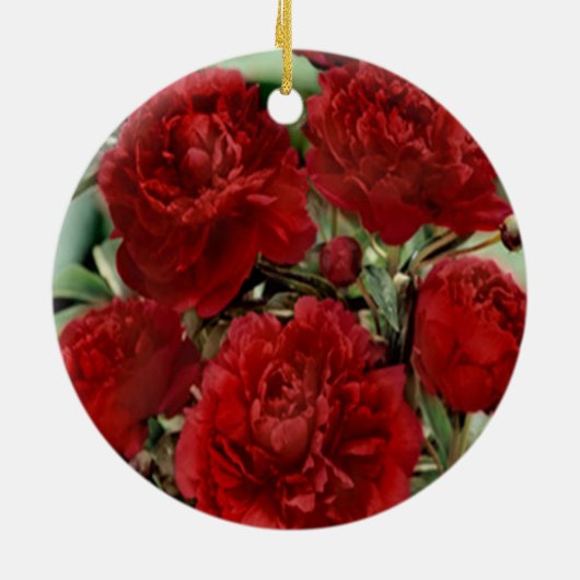 Rote Nelke Blume Ornament (Hinten)