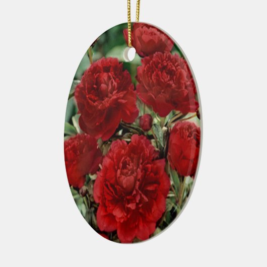 Rote Nelke Blume Ornament (Links)