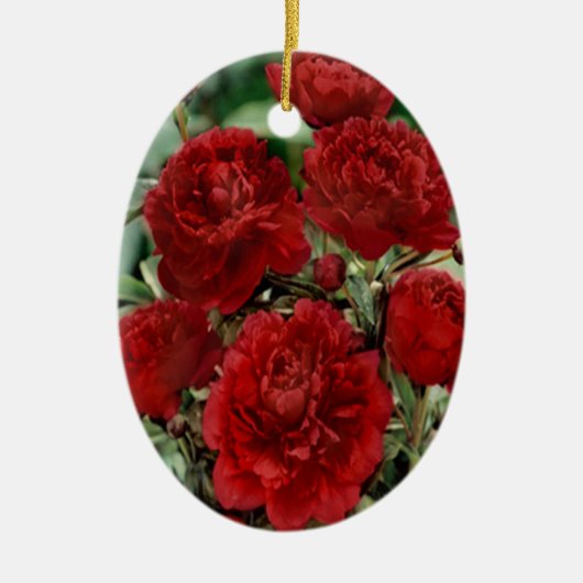 Rote Nelke Blume Ornament (Vorne)