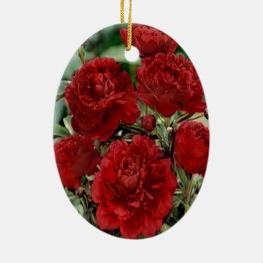 Rote Nelke Blume Ornament (Hinten)