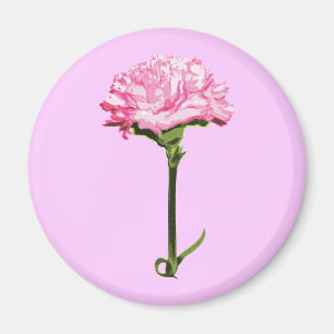 Rote Nelke Magnet