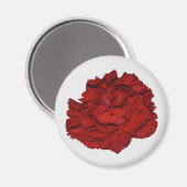 Rote Nelke Magnet (Vorderseite/Rückseite)