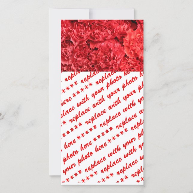 Rote Nelken (Vorderseite)