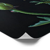 Rote Nelken Blume Art Print Poster (Ecke)