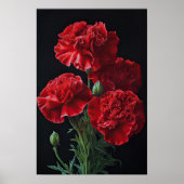 Rote Nelken Blume Art Print Poster (Vorne)