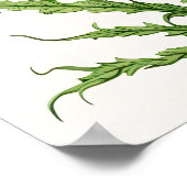Rote Nelken Blume Art Print Poster (Ecke)