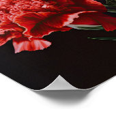 Rote Nelken Blume Art Print Poster (Ecke)