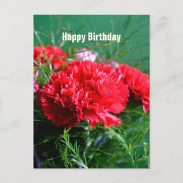 Rote Nelken Glückwunsch Geburtstag Postkarte